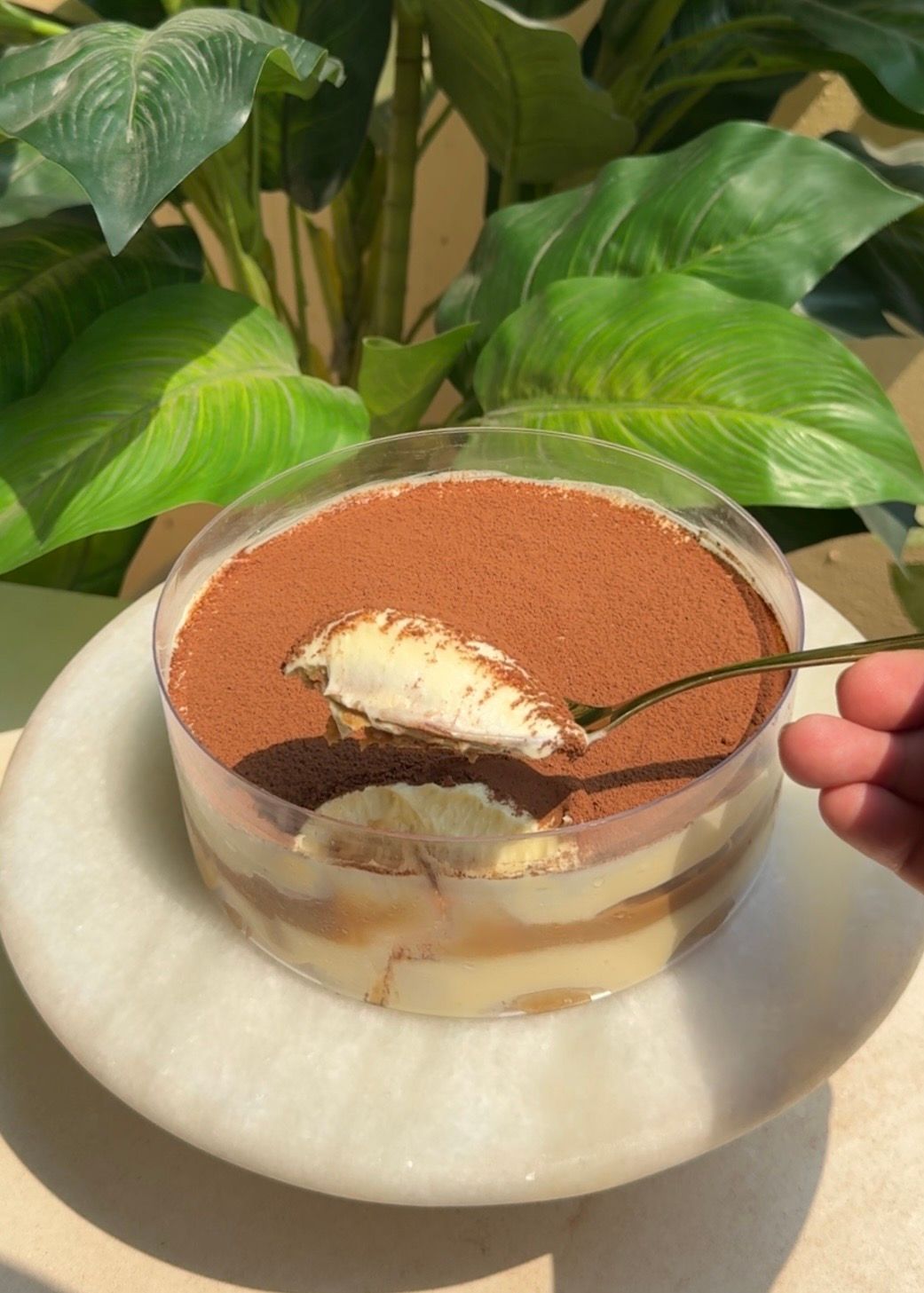 Boozy Tiramisu 
