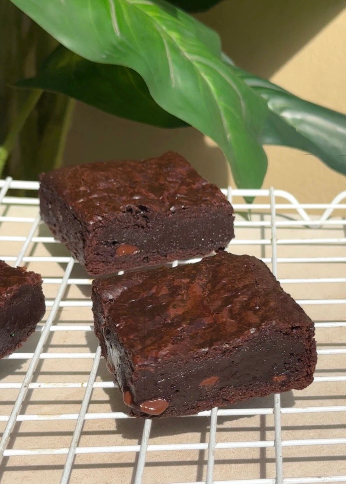 Eggless Crinkle Top Brownie Masterclass 